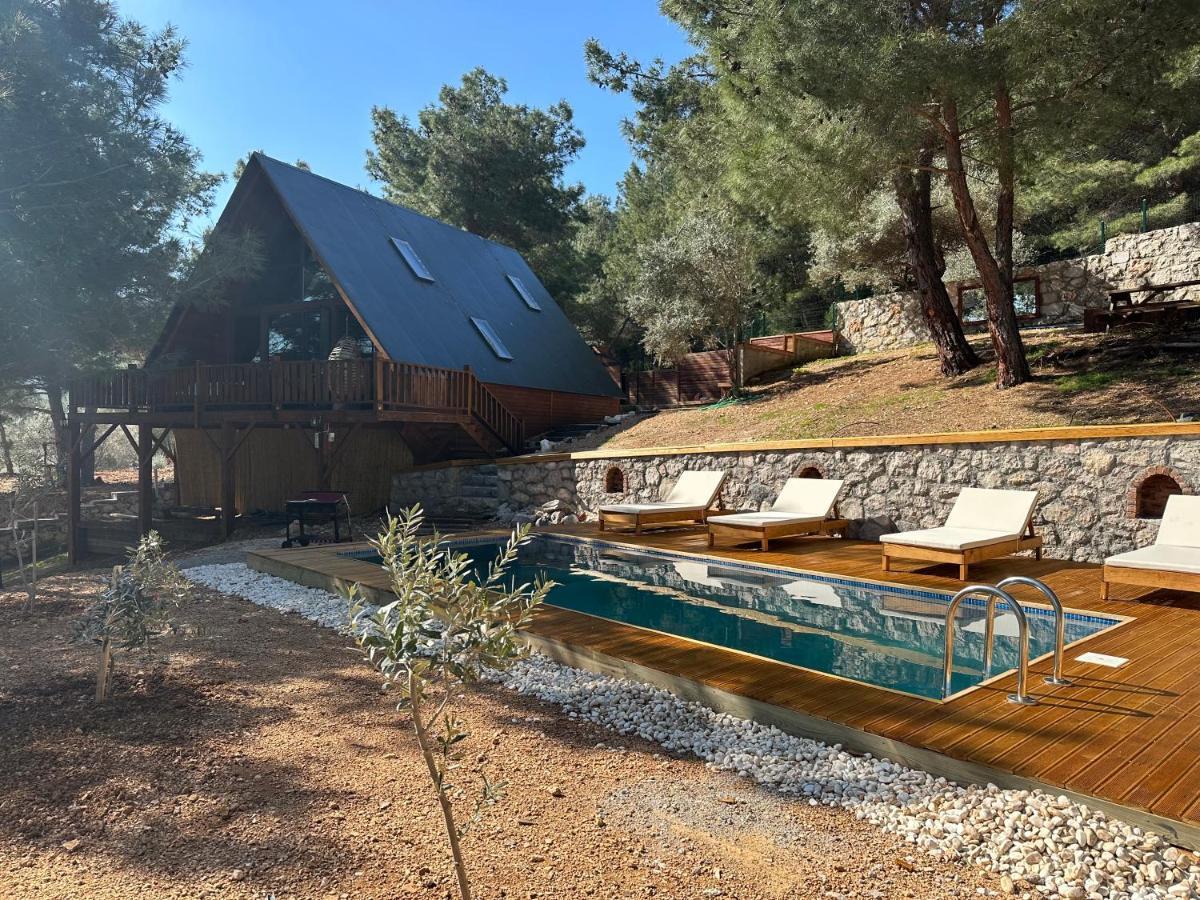 Panurlawoodenhouse Oezel Havuz& Sauna Mavi Luaran gambar